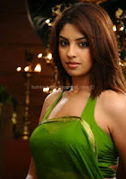 Richa, gangopadhyay, hot, saree, pics