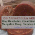 Ketahui 15 Manfaat Gula Aren Bagi Kesehatan, Kecantikan, Mengatasi Maag, Diabetes 