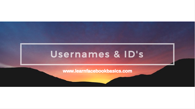 How are usernames and user IDs used on Facebook profiles?