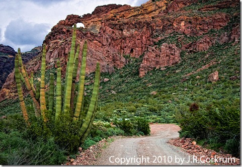 organ_pipe_arch