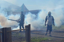 Satgas Yonif 731 Laksanakan Fogging di Gamsungi