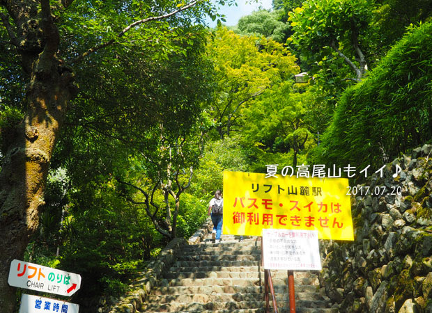 夏の高尾山：エコーリフト