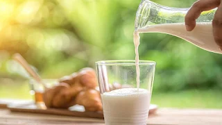 IIT-Hyderabad researchers develop a system to detect adulteration in milk