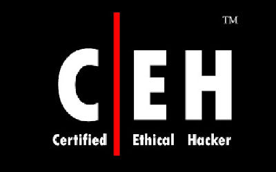 http://katieandmaxtron.blogspot.com/2012/06/how-to-prepare-for-ceh-certified.html