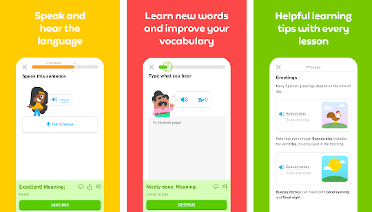 Duolingo app for PC