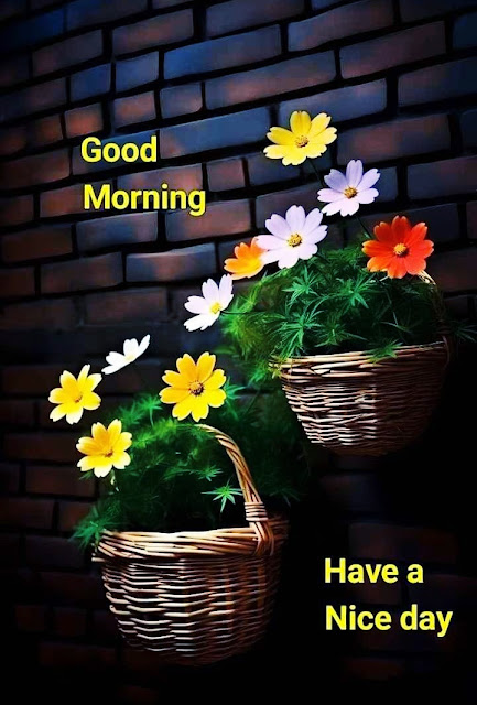 Today Special Good Morning Images For Friends