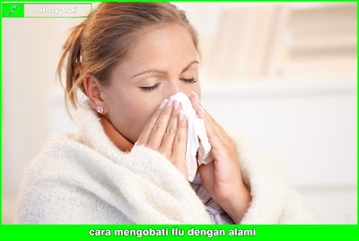 Cara Mengobati FLU Dengan Bahan Alami