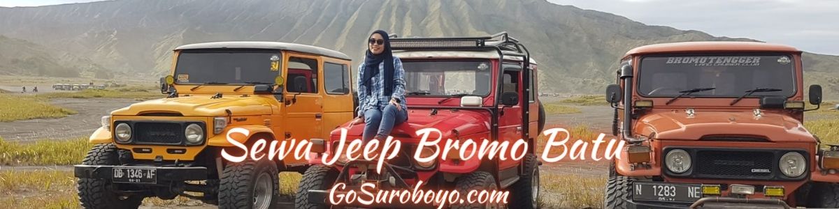 sewa jeep wisata gunung bromo batu
