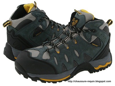 Chaussure requin:chaussure-533370