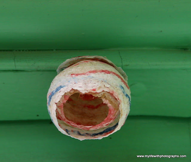 Patriotic Wasp Hive