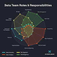 Data Team - Roles and Responsibilities Spider Chart