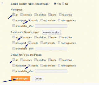 Custom Robots Header Tags