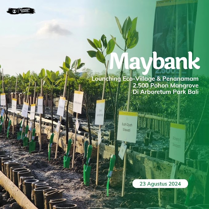 MAYBANK MARATHON 2024 MENGAJAK PESERTA MENANAM POHON MANGROVE DI ARBORETUM PARK BALI