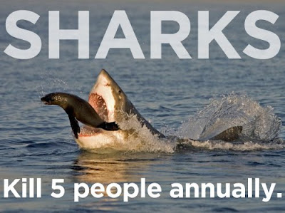 Things That Kill More People Than Sharks Seen On www.coolpicturegallery.us