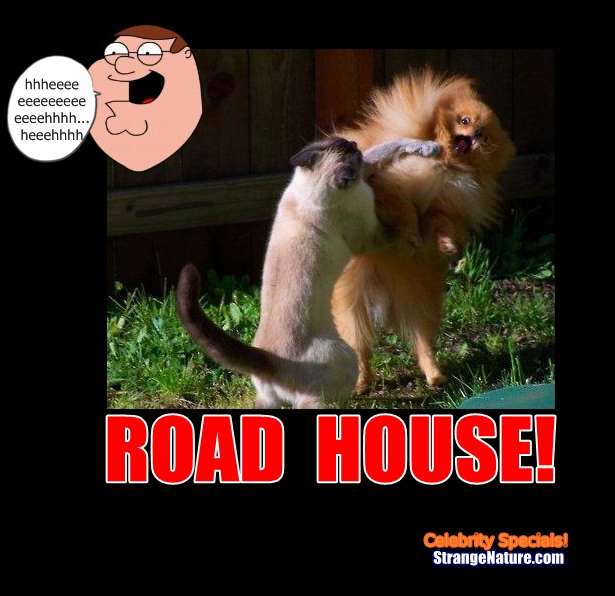 what is funny. [what is quot;road housequot;]