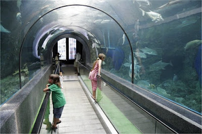 Walkthrough tunnel at Phuket Aquarium