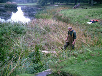 Photo of pond from upstream before work