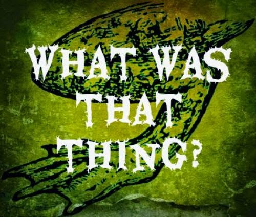 What Was That Thing Mystic Caverns Arkansas