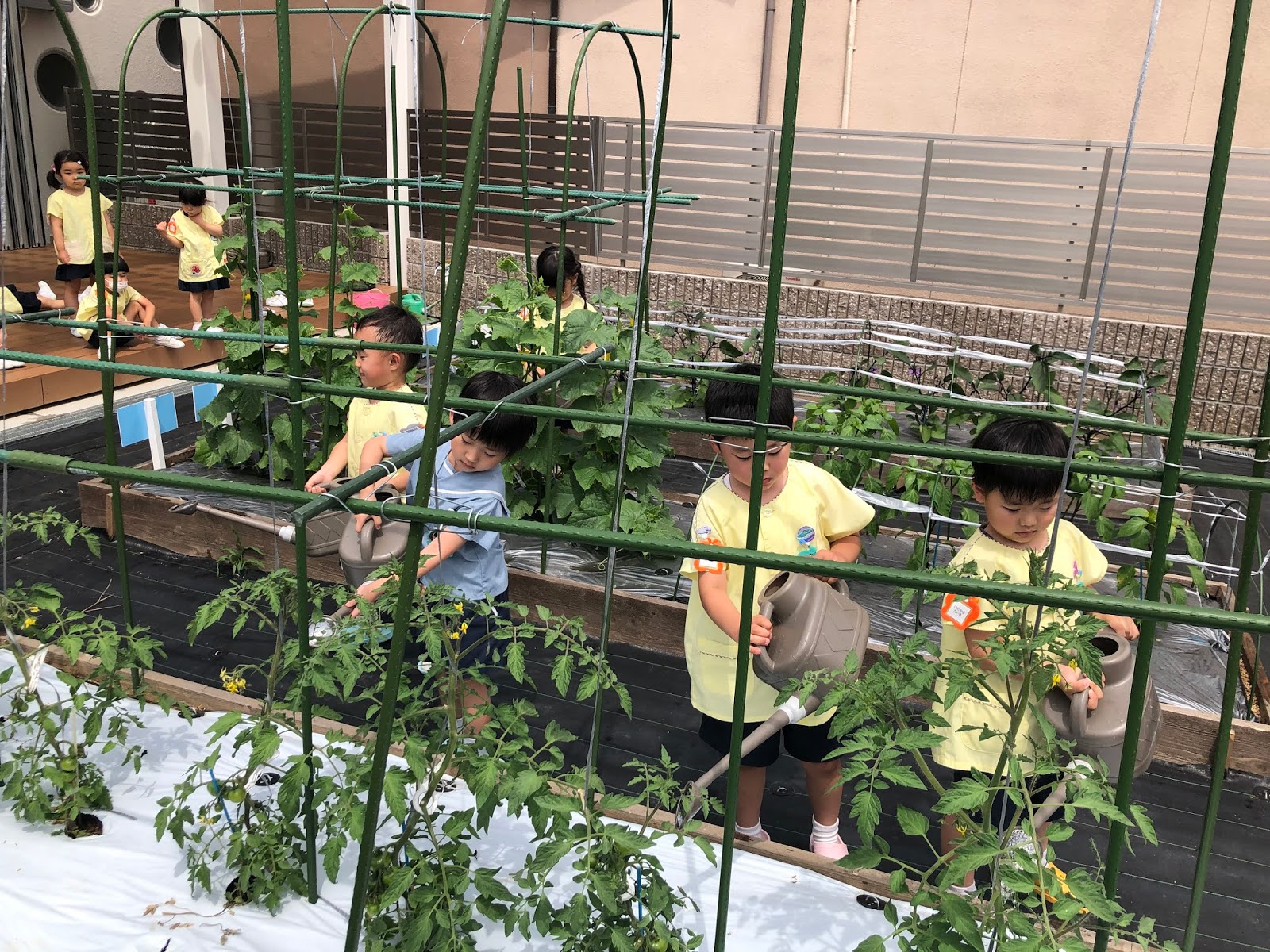 せいか幼稚園blog ４歳児 マーチング曲決定しました