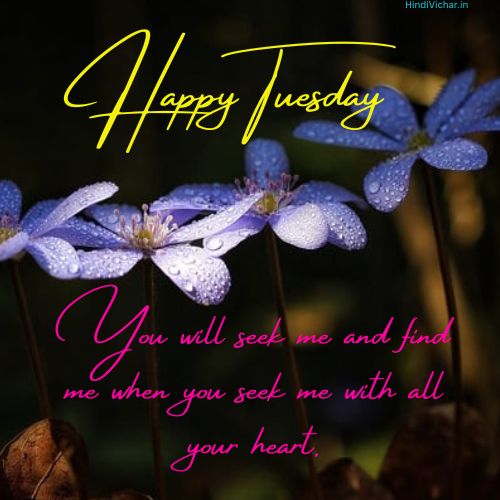 Happy Tuesday Positive Blessings