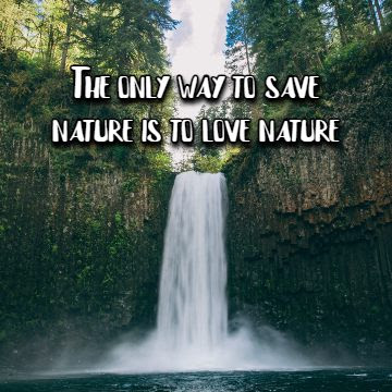 Nature Love Quotes