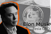 Elon Musk dan Pendiri Dogecoin Mengejutkan Komunitas Kripto dengan Postingan tentang Kebenaran