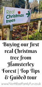 Why you should choose a real, sustainable Christmas tree from a Forestry Commission Forest (Hamsterley Forest in Durham and Kielder Forest in Northumberland)