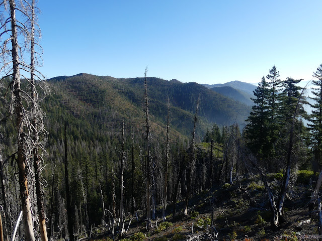 Dillon Creek side of things, burned and not