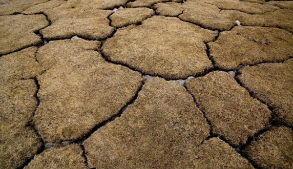 Kiamat Permafrost: 93 Persen Bisa Hilang pada Tahun 2100, Menurut Studi Global