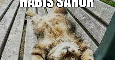 Gambar Meme Kata2 Saur Lucu Bahasa Jawa - Gambar Lucu Terbaru