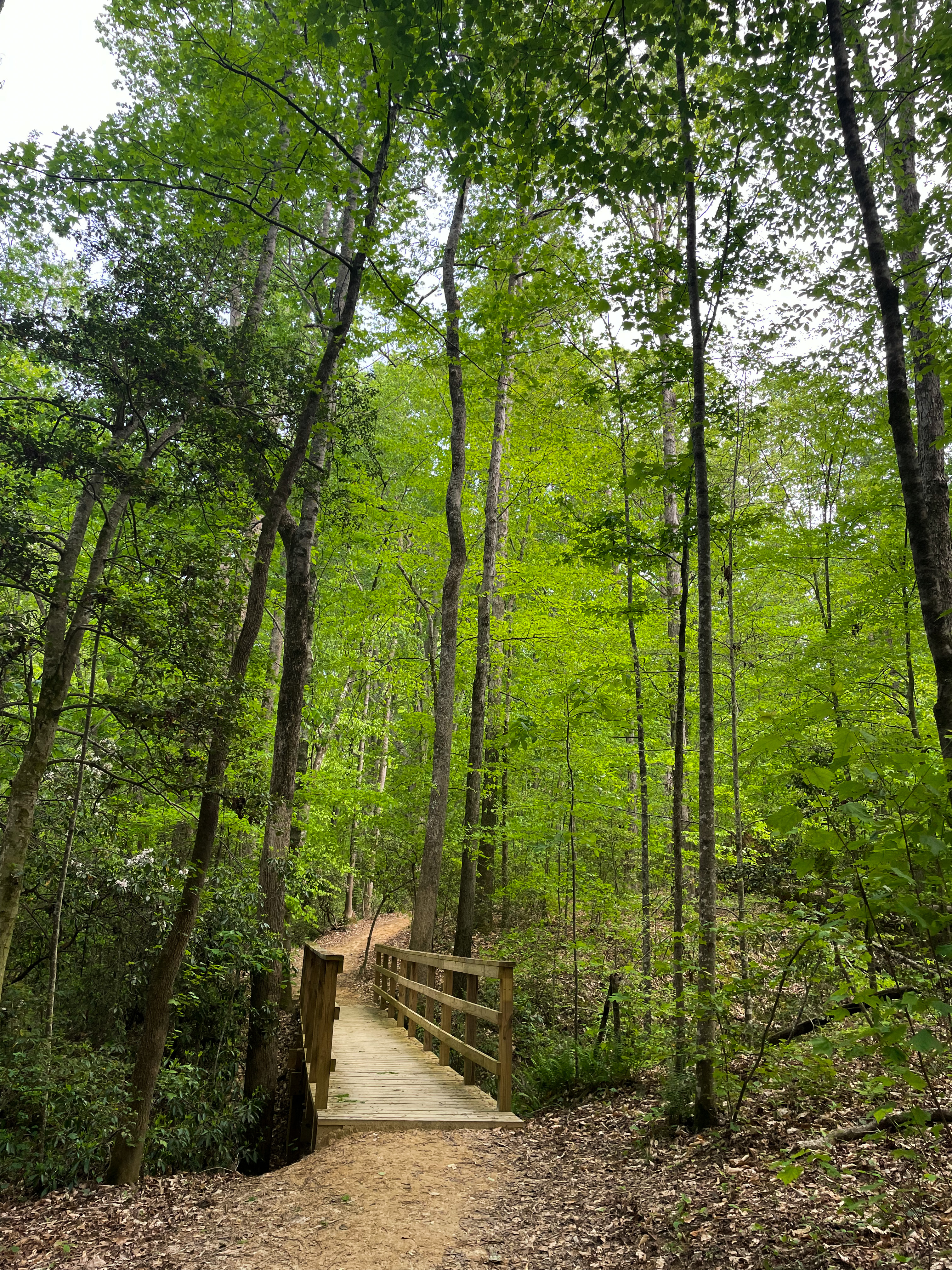 Nalley Brown Nature Park in Easley