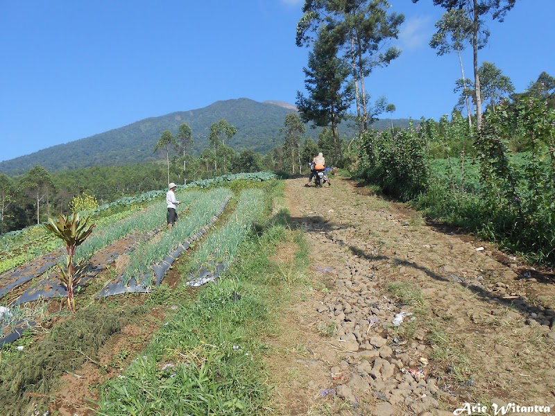 Top Pengalaman Mendaki Gunung Slamet