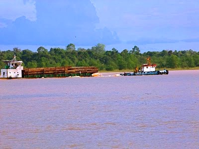  det photofolio Dari Tebing Sungai Rajang 