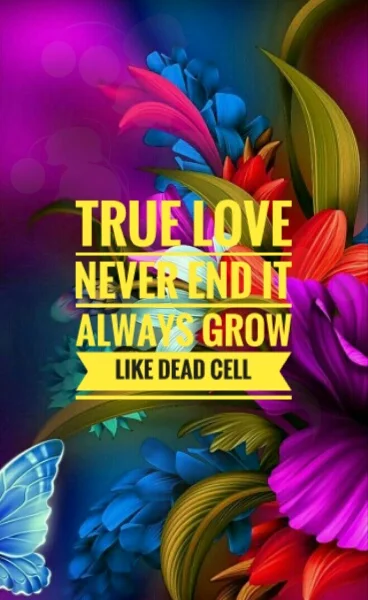 Love life quotes 
