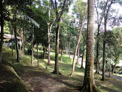 daya tarik taman kyai langgeng