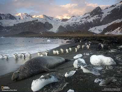 The National Geographic images, The National Geographic photos, The National Geographic photogallery, The National Geographic pictures, The National Geographic