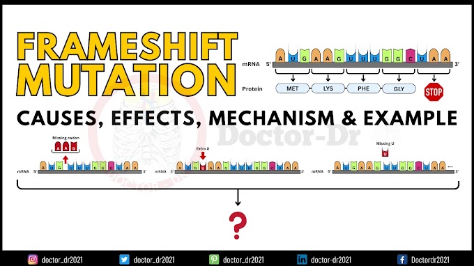 Frameshift Mutation: Definition, Causes, Mechanism, Applications & Example
