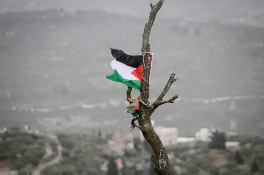 Bandeiras palestinas vistas durante protesto na vila de Burqa, na Cisjordânia | Nasser Ishtayeh/Flash90