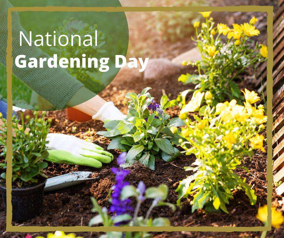 National Gardening Day Wishes for Instagram