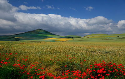 Imágenes de montañas, ríos, cascadas, paisajes y flores