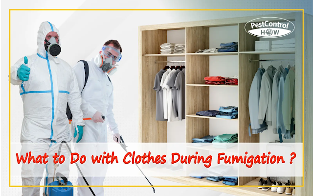 what-to-do-with-clothes-during-fumigation