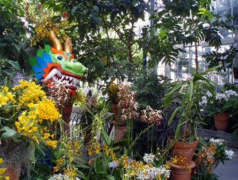 Botanical Gardens 13