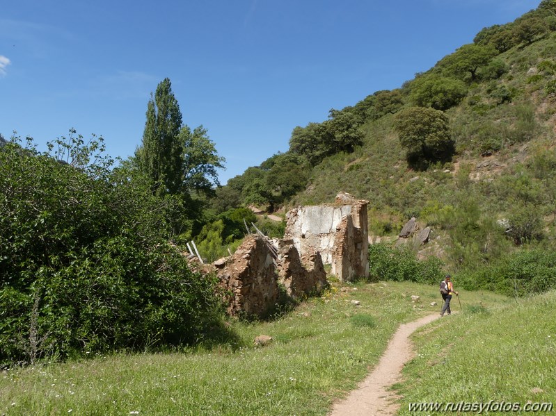 Estación de Cortes - Estación de Benaoján por el sendero del río Guadiaro