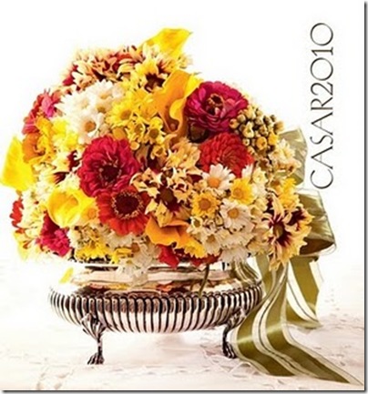 casar_2010