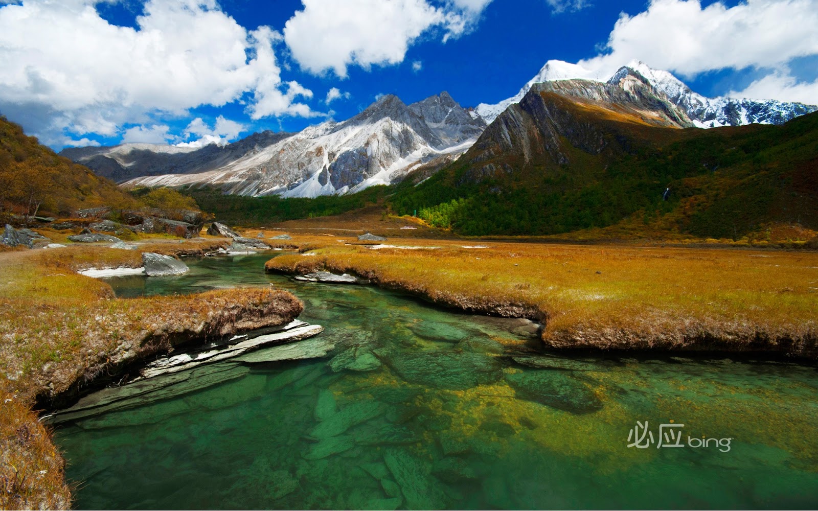 Bing Beautiful Scenery Desktop