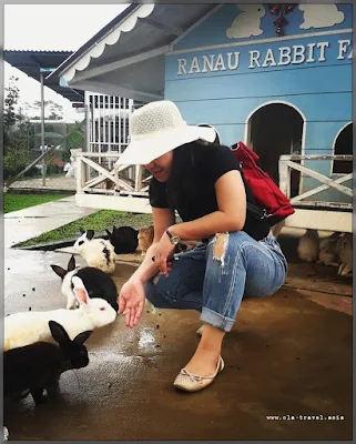 RANAU RABBIT FARM, SABAH