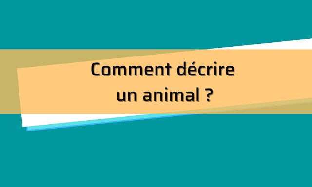 Comment décrire un animal ?