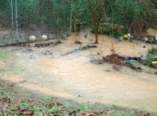 atlanta flood