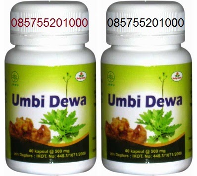 http://herbalsembuhku.blogspot.com/2014/01/jual-kapsul-umbi-daun-dewa-surabaya.html