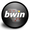 bwin y padel pro tour juntos 2011